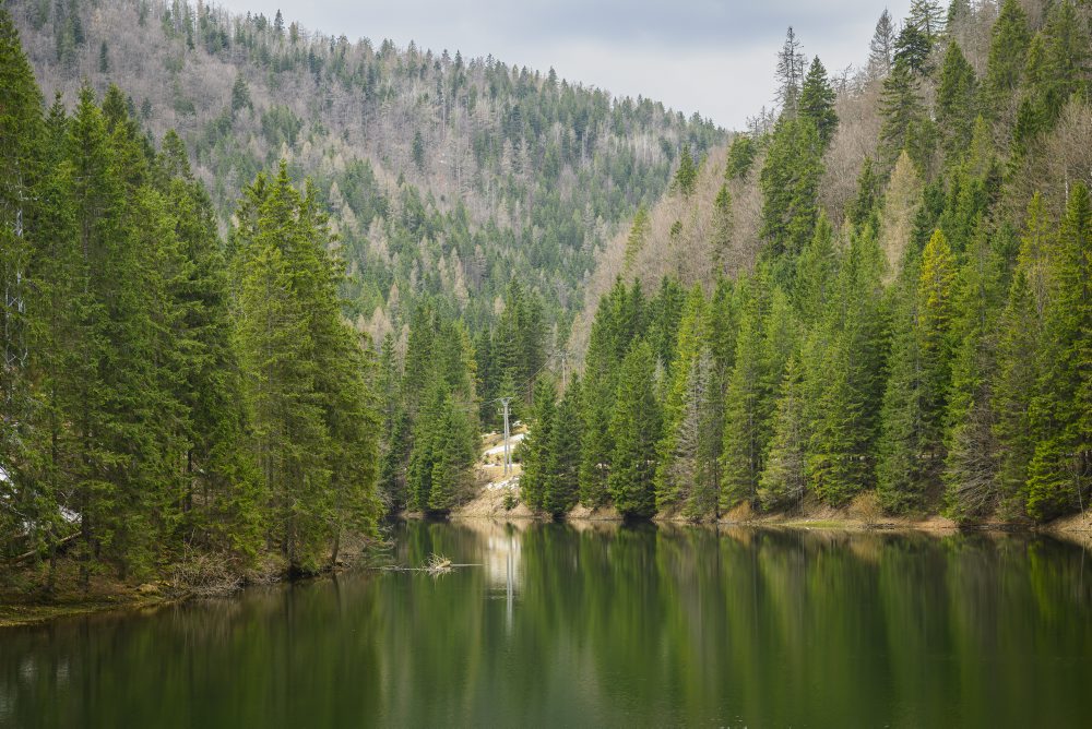 Príroda v Slovenskom raji
