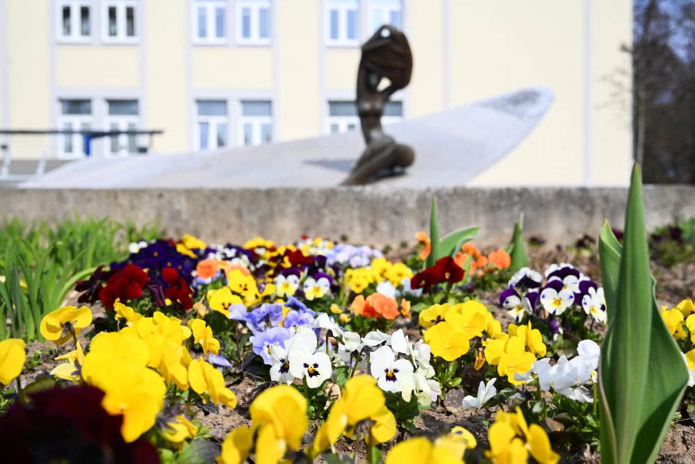 Kvitnúce záhony v Trenčíne