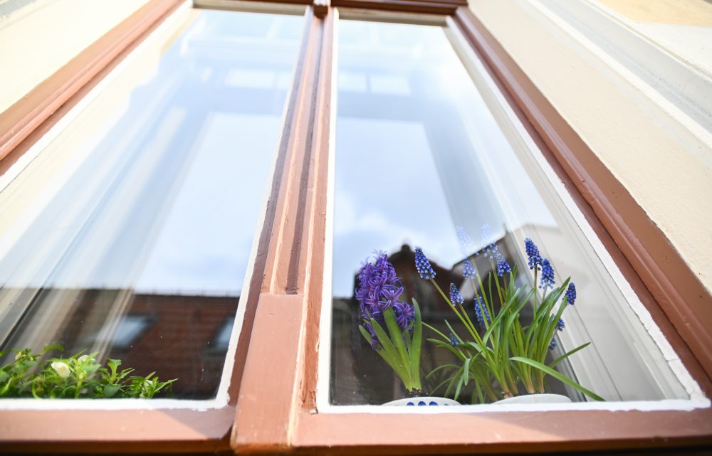 Kvitnúce záhony v Trenčíne