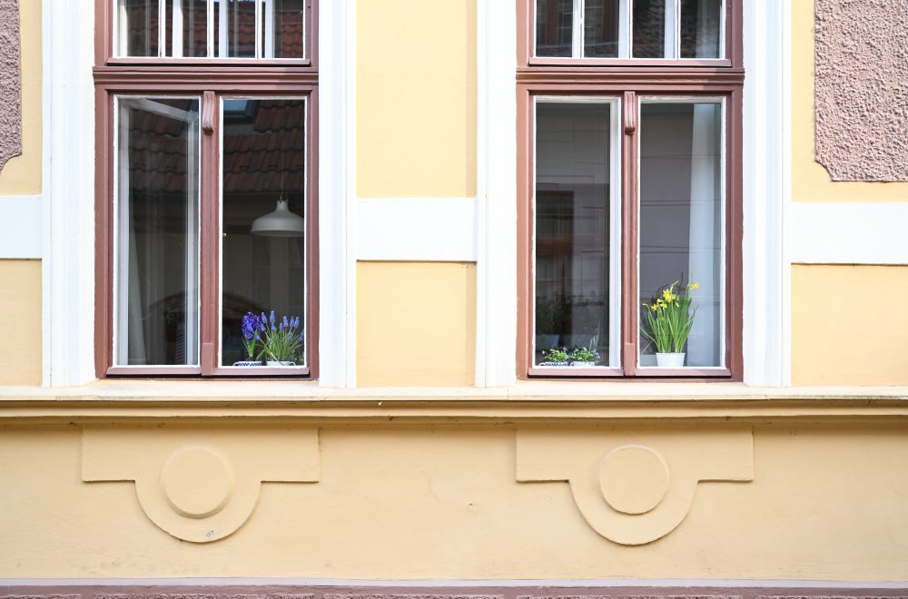 Kvitnúce záhony v Trenčíne