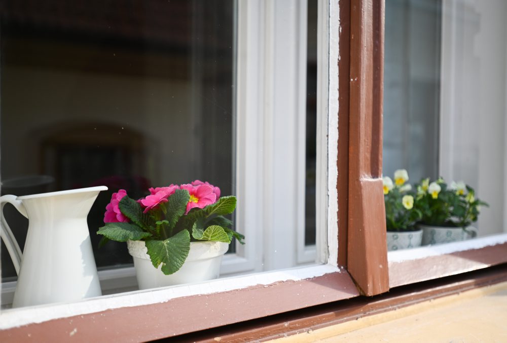 Kvitnúce záhony v Trenčíne