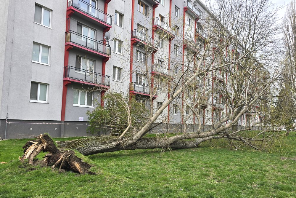 Silný nárazový vietor v Bratislave spôsobil viaceré škody