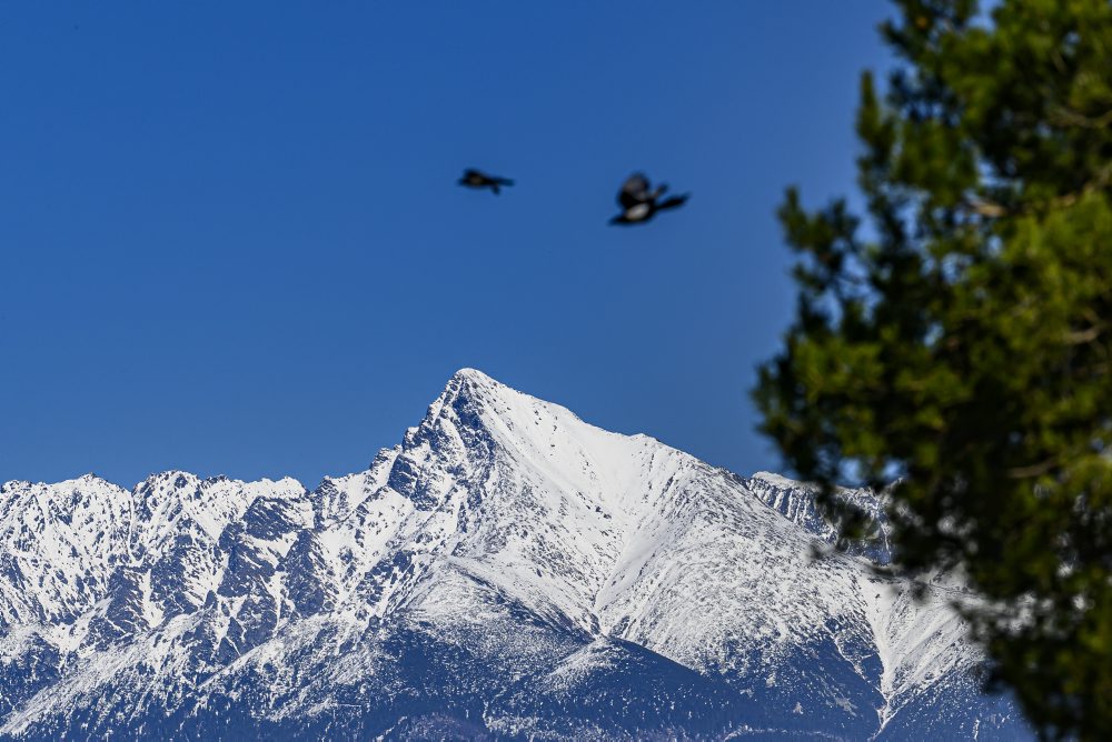 Výhľady na vrch Kriváň z Liptova
