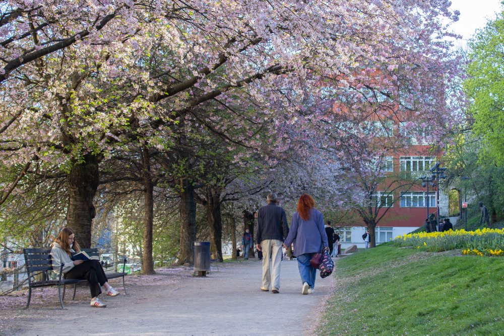 Jarné počasie v Prahe 