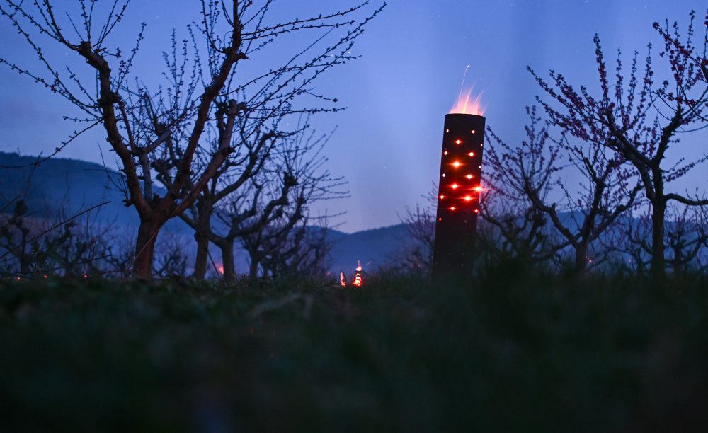 Ochrana úrody pred mrazmi v ovocnom sade v Čachticiach