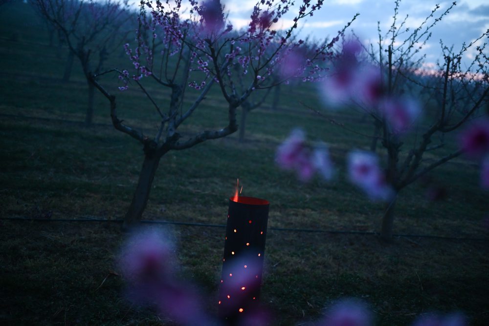 Ochrana úrody pred mrazmi v ovocnom sade v Čachticiach