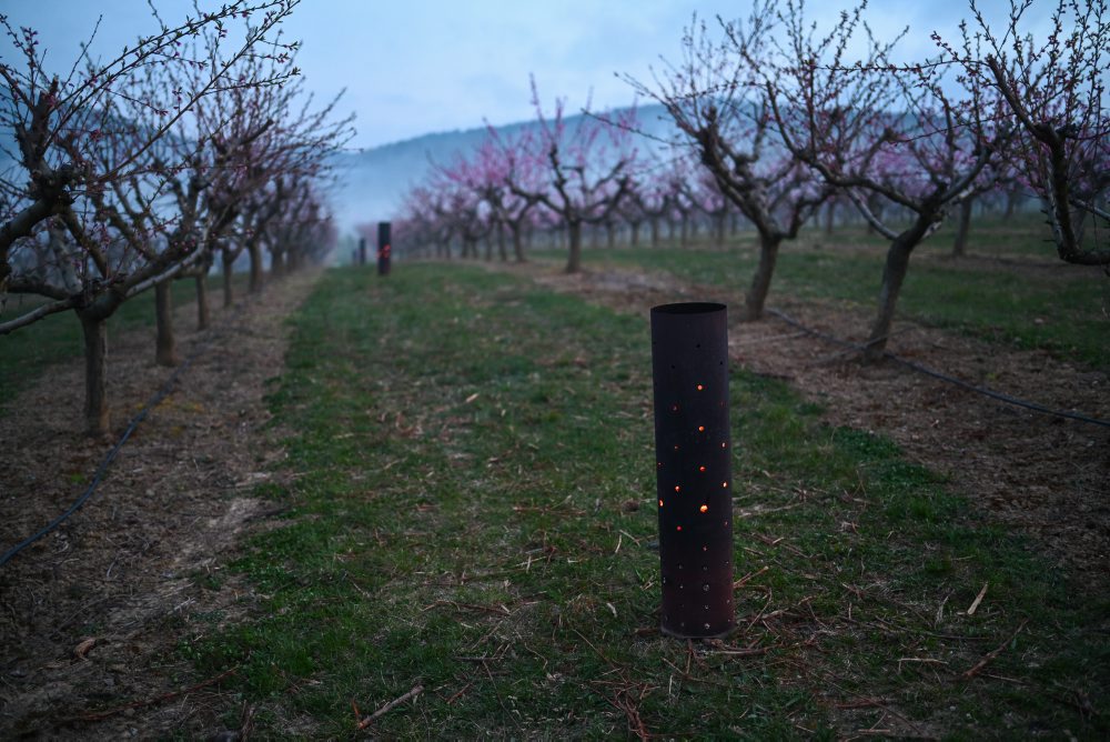 Ochrana úrody pred mrazmi v ovocnom sade v Čachticiach