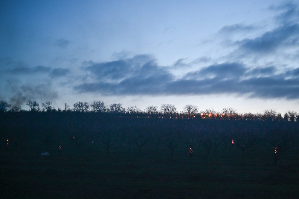 Ochrana úrody pred mrazmi v ovocnom sade v Čachticiach