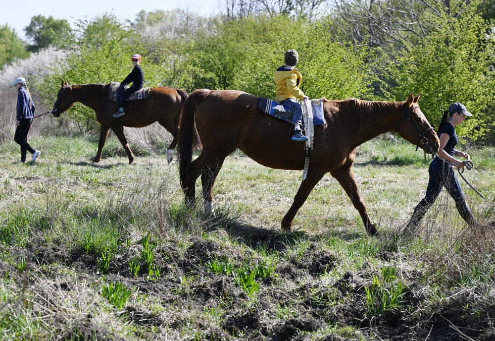 Samove hry v bratislavskej Devínskej Novej Vsi