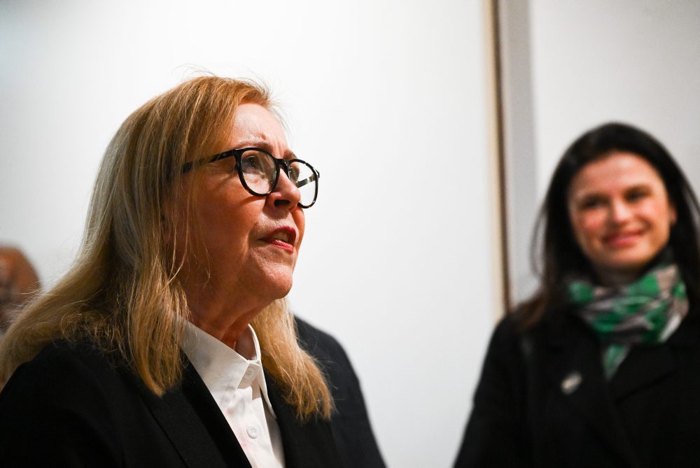 27. ročník Festivalu Aničky Jurkovičovej v Novom Meste nad Váhom