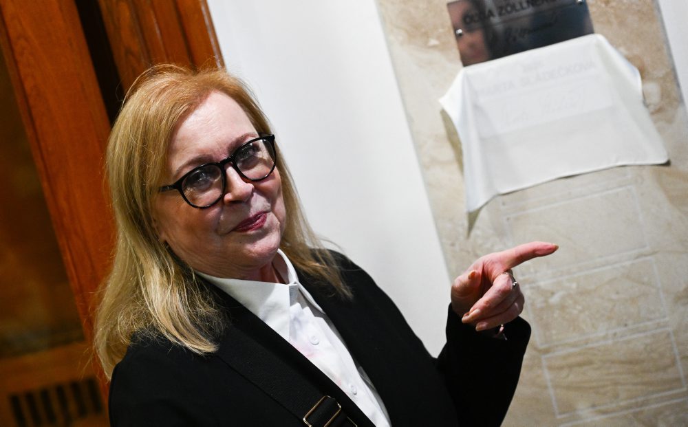 27. ročník Festivalu Aničky Jurkovičovej v Novom Meste nad Váhom