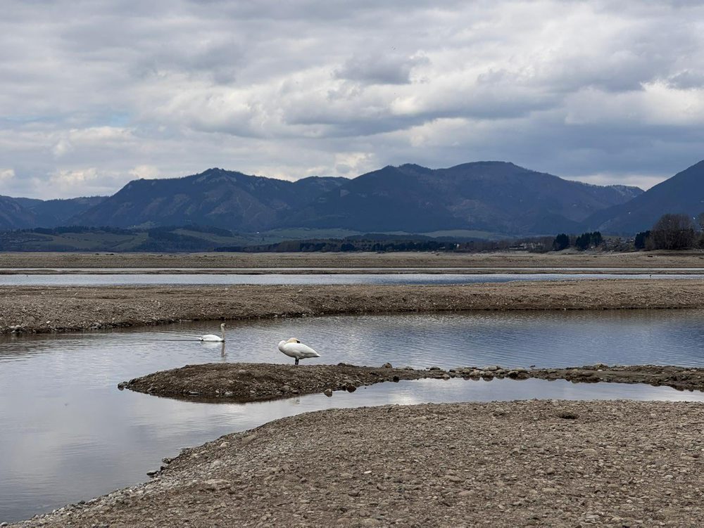 Stav hladiny vodnej nádrže Liptovská Mara