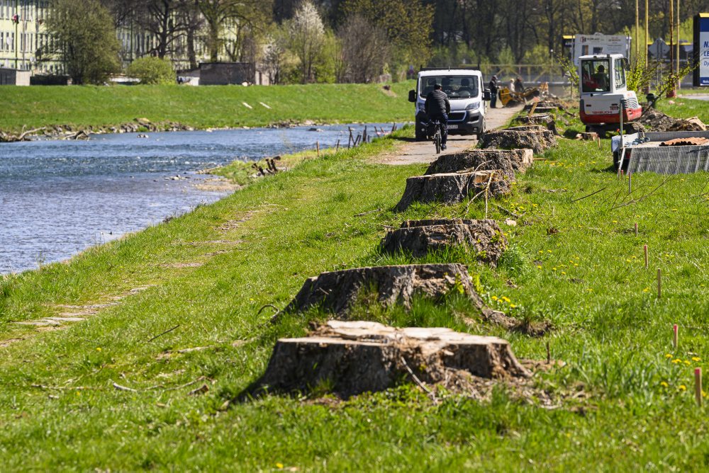 V Ružomberku prebieha výsadba stromov vo viacerých lokalitách