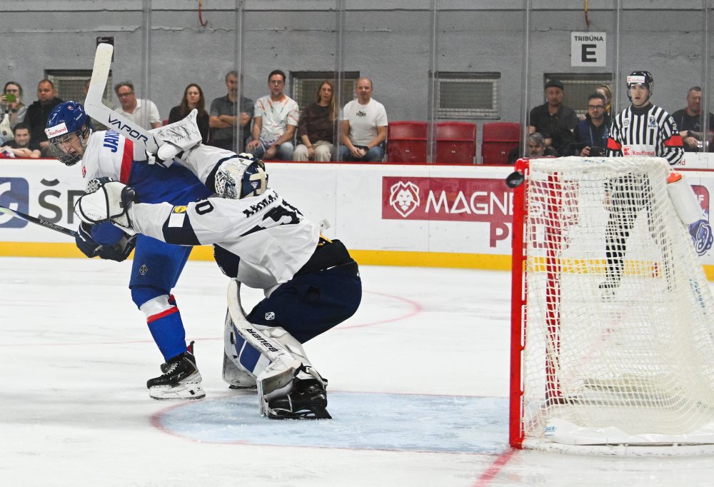 Slovensko – Fínsko