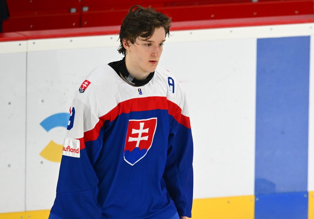 Slovensko – Fínsko