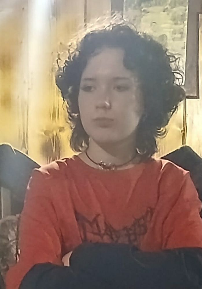 Polícia vyhlásila pátranie po 14-ročnej Kristíne Bubisovej z obce Smrečany