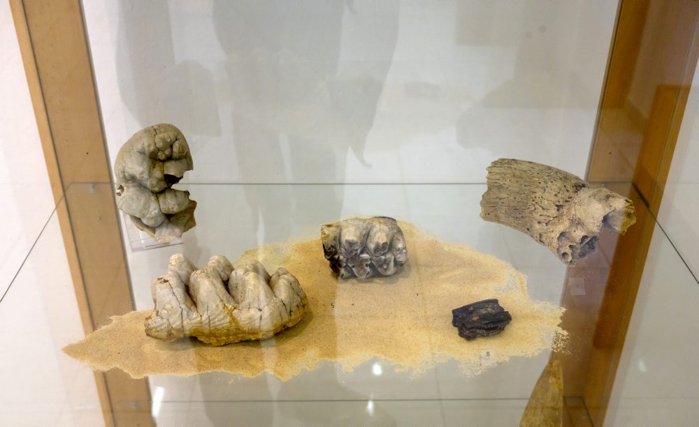 Výber minerálov, hornín a skamenelín pochádzajúcich z Topoľčian a okolia predstavuje nová výstava Pod nohami ukrytý svet v Tribečskom múzeu v Topoľčanoch