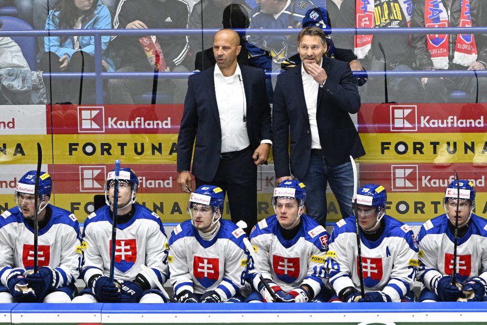 Slovensko - Dánsko 