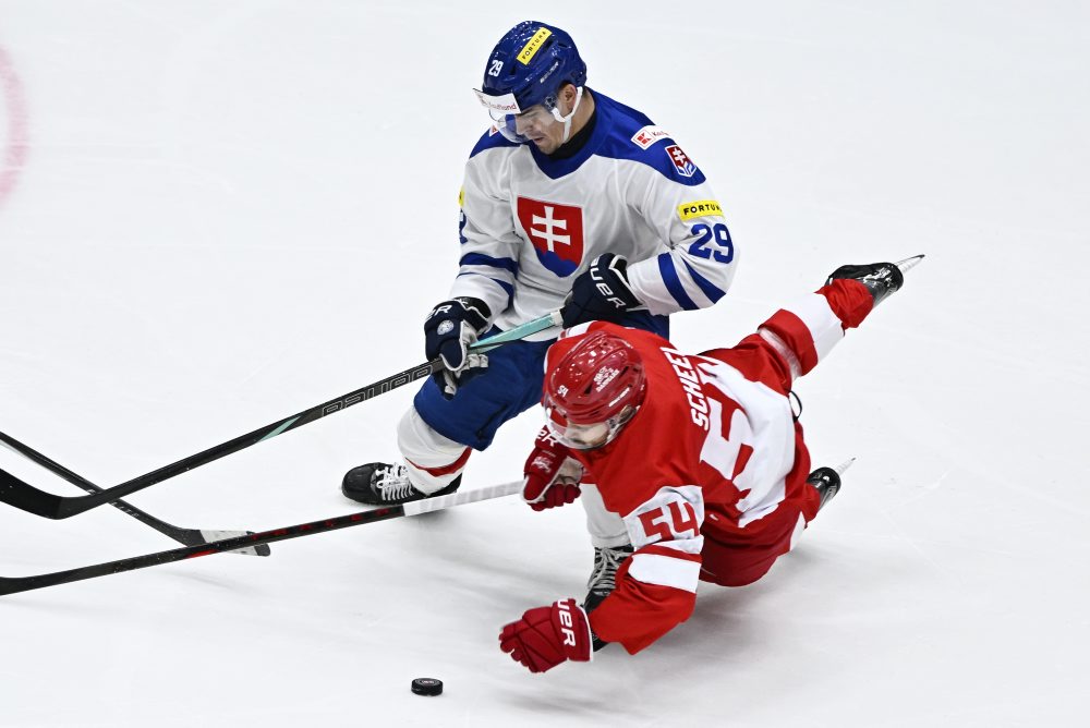 Slovensko - Dánsko 