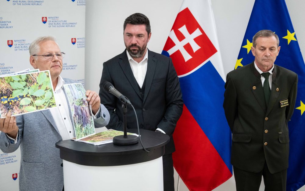 Podpora do budúcnosti slovenských lesov