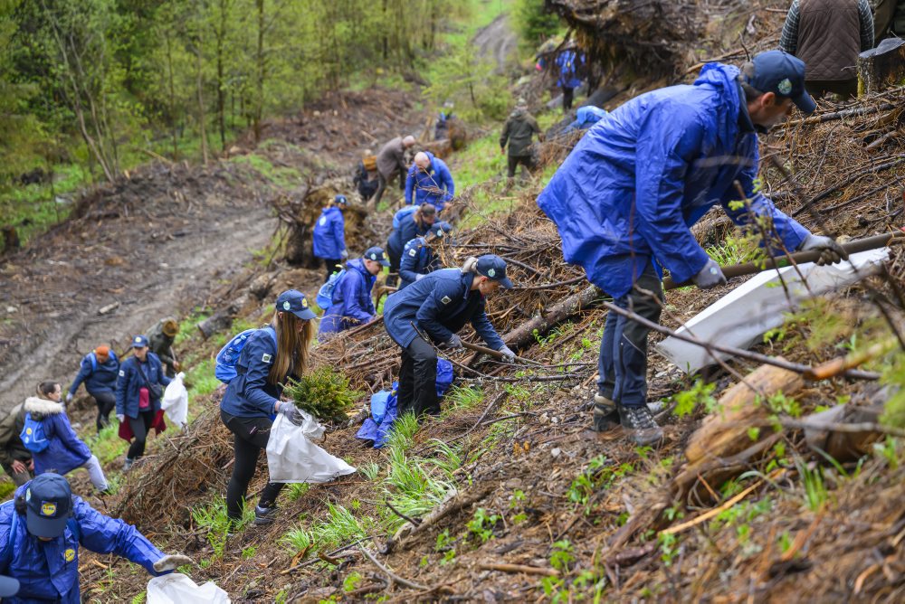 Výsadba sadeníc na území NAPANT v rámci projektu Voda pre stromy