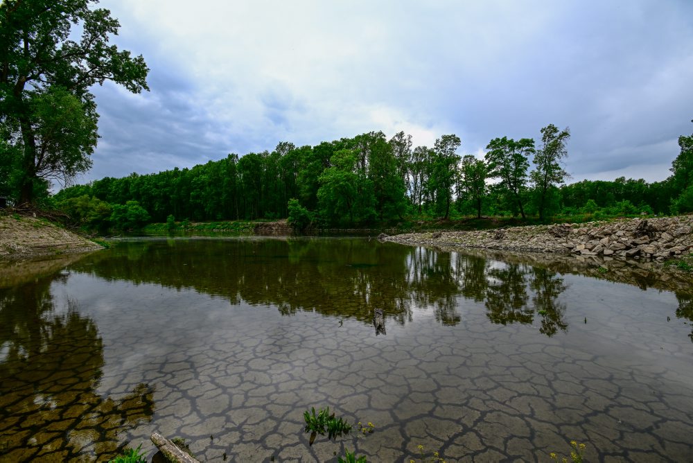 Revitalizácia koryta rieky Morava