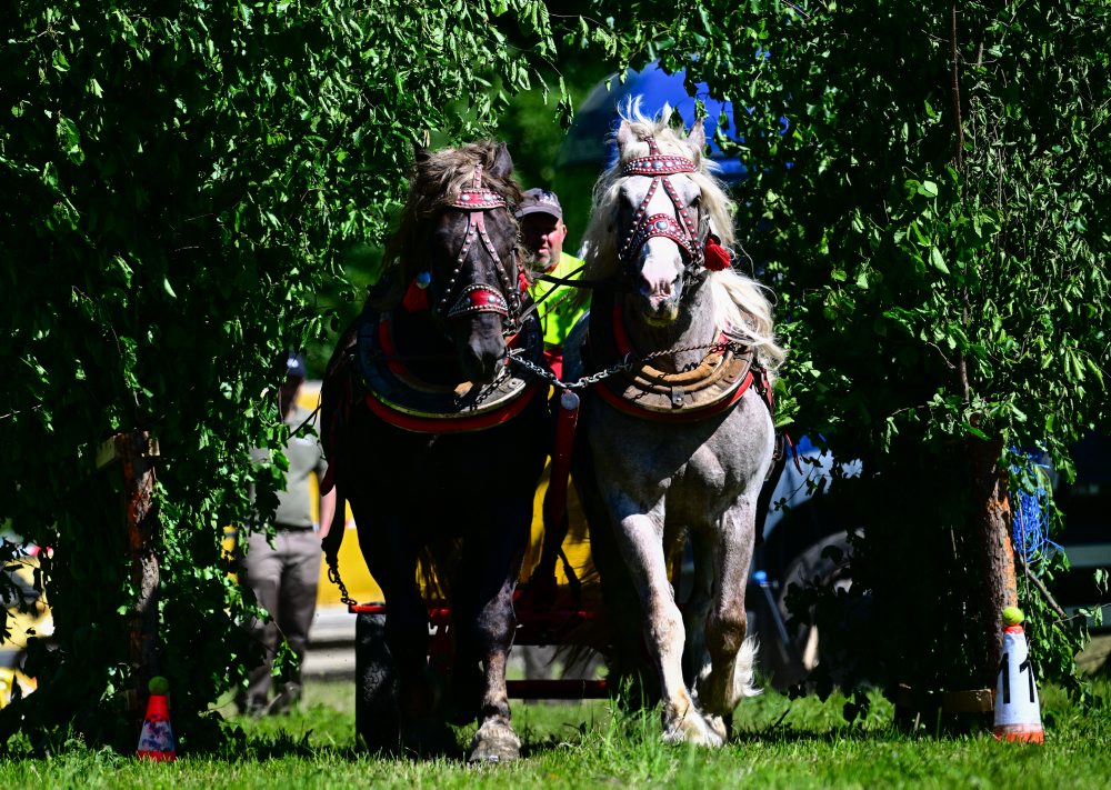 Furmanské preteky v Bielych Karpatoch