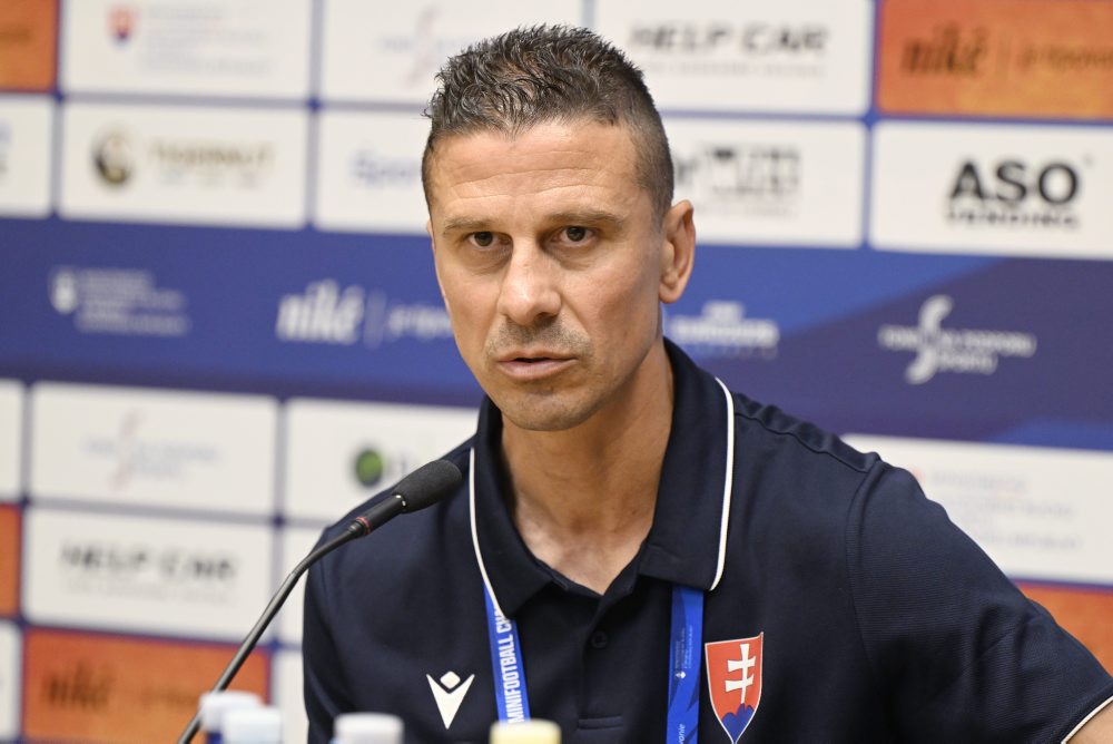 Bosna a Hercegovina - Slovensko 