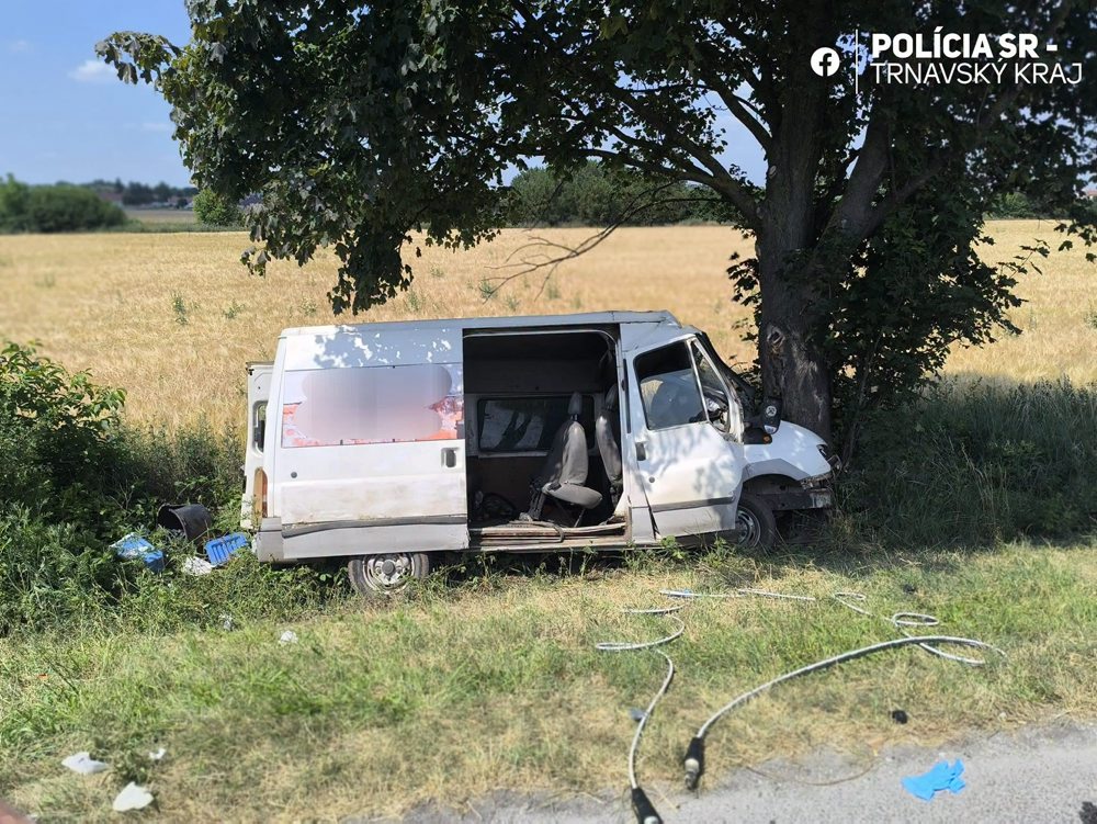 Šesť osôb sa zranilo pri náraze dodávky do stromu medzi Holíčom a Skalicou