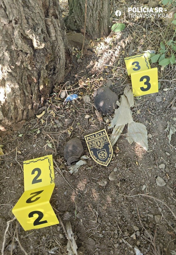 Polícia v Trnave obvinila dve ženy z drogovej trestnej činnosti