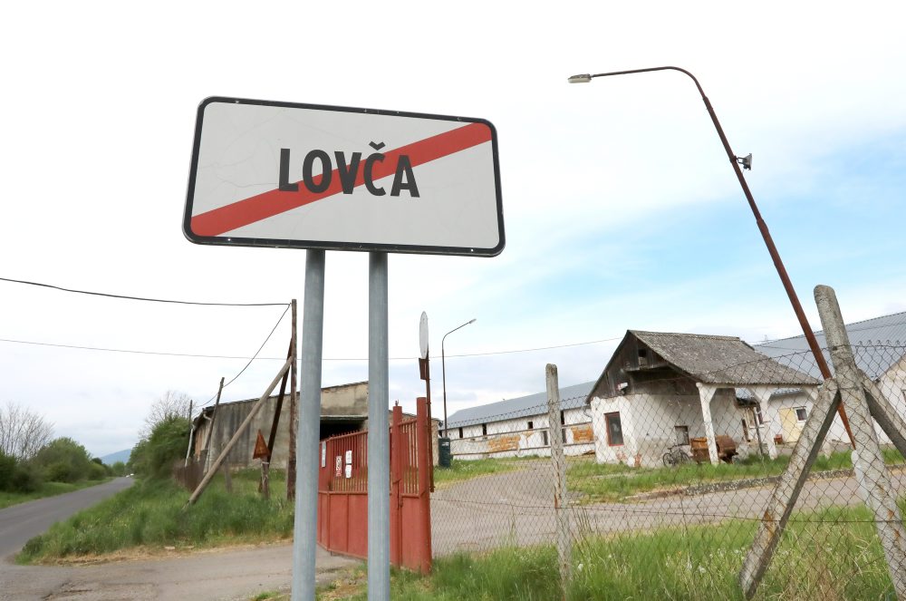 V komerčnom chove ošípaných v obci Lovča bol potvrdený mor ošípaných