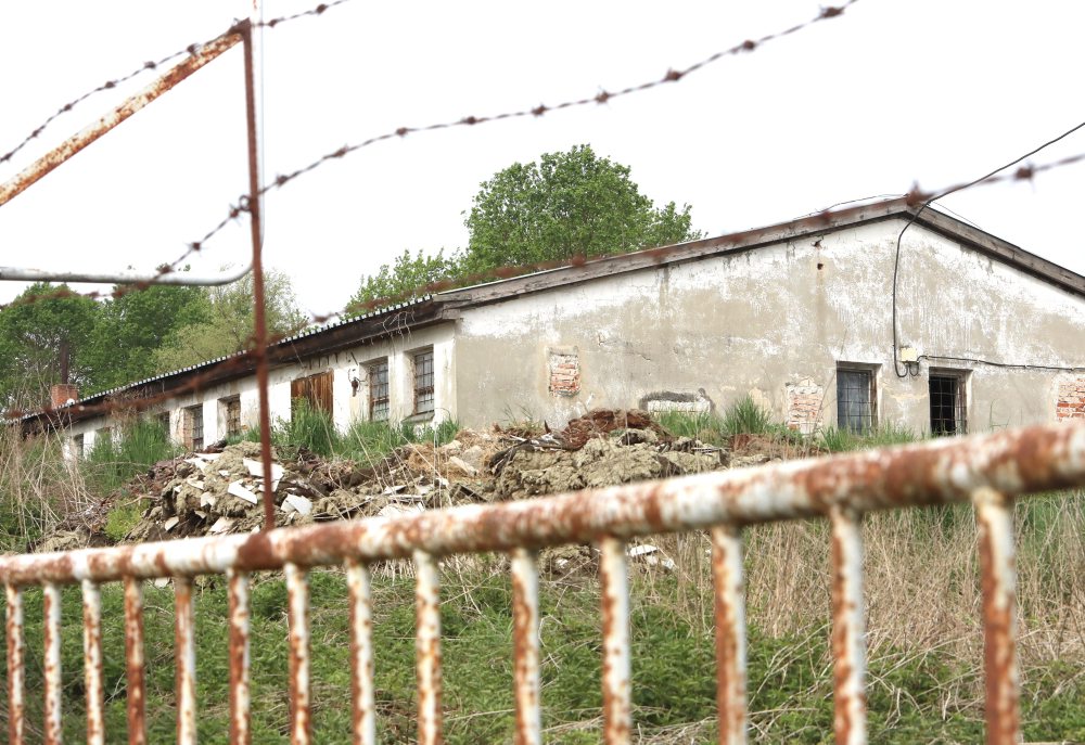 V komerčnom chove ošípaných v obci Lovča bol potvrdený mor ošípaných