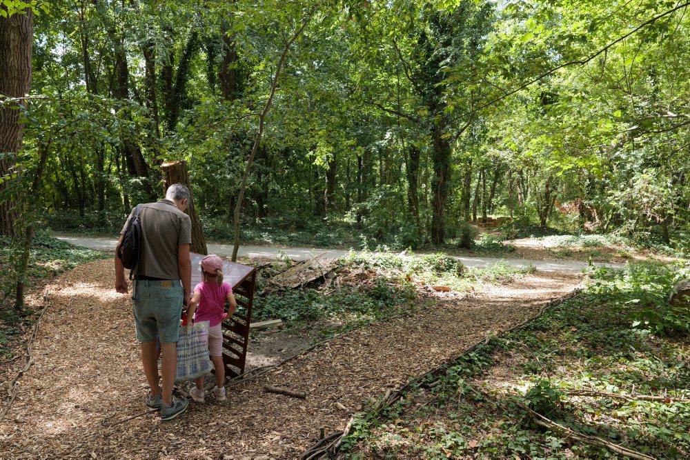 Na petržalskej strane Dunaja otvorili Nábrežný park Staré Lido
