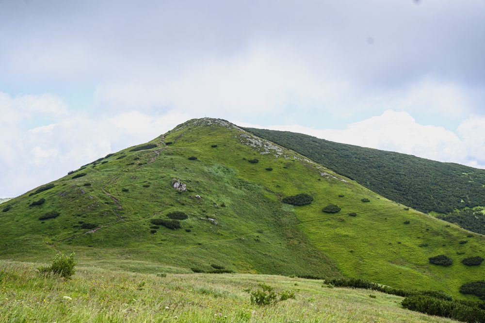 Príroda v Nízkych Tatrách