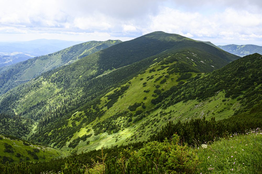Príroda v Nízkych Tatrách