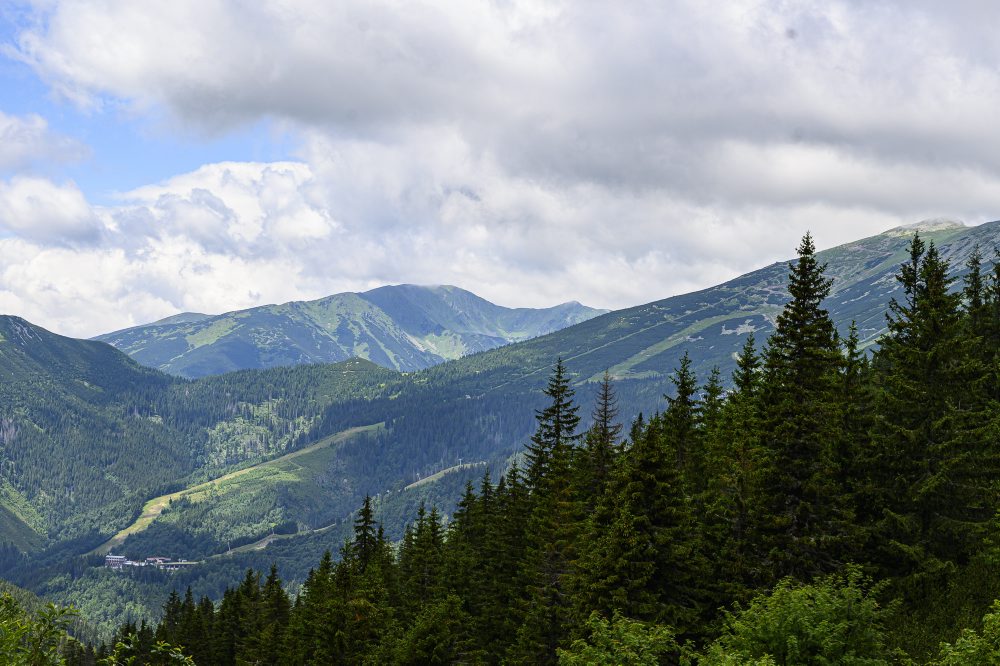 Príroda v Nízkych Tatrách