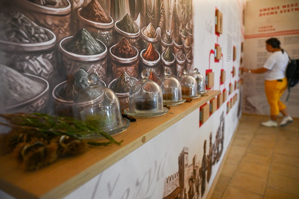 Expozícia výstavy Moháč a jeho odkaz na Trenčianskom hrade v Trenčíne