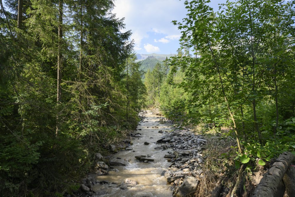 Ždiar: Silná búrka spôsobila škody na prístupovej ceste pod Belianske Tatry