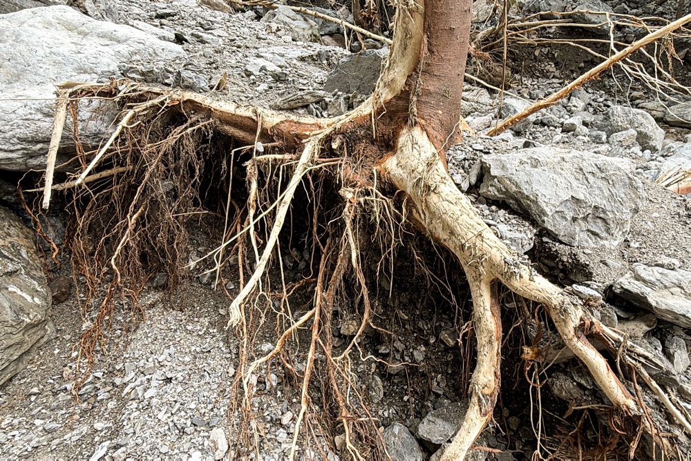 Ždiar: Silná búrka spôsobila škody na prístupovej ceste pod Belianske Tatry