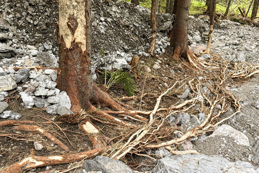 Ždiar: Silná búrka spôsobila škody na prístupovej ceste pod Belianske Tatry