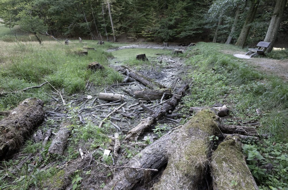 Vysychajúce koryto horského potoka Vydrica