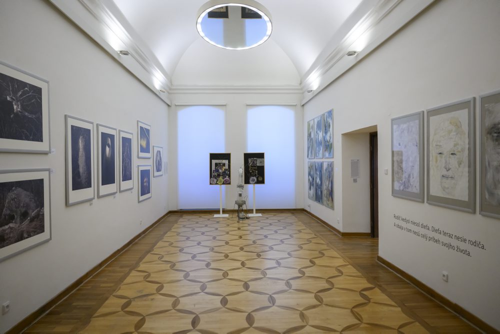 Výstava symBIOza C+S v Galérii umelcov Spiša (GUS) v Spišskej Novej Vsi  