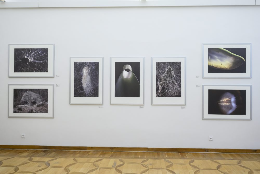Výstava symBIOza C+S v Galérii umelcov Spiša (GUS) v SPišskej Novej Vsi  