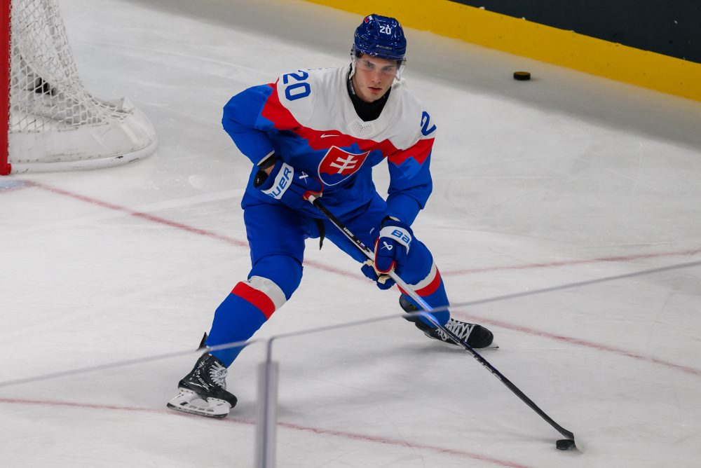 Pred zápasom Slovensko - Fínsko