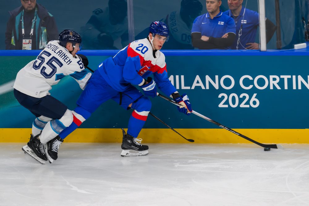 Zo zápasu Slovensko - Fínsko