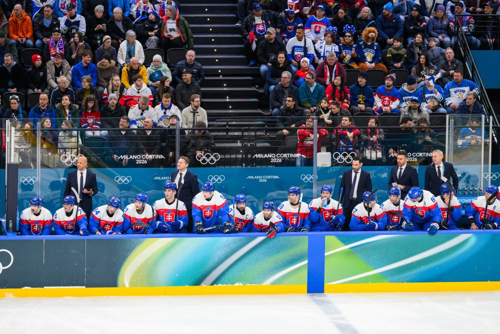 Zo zápasu Slovensko - Fínsko