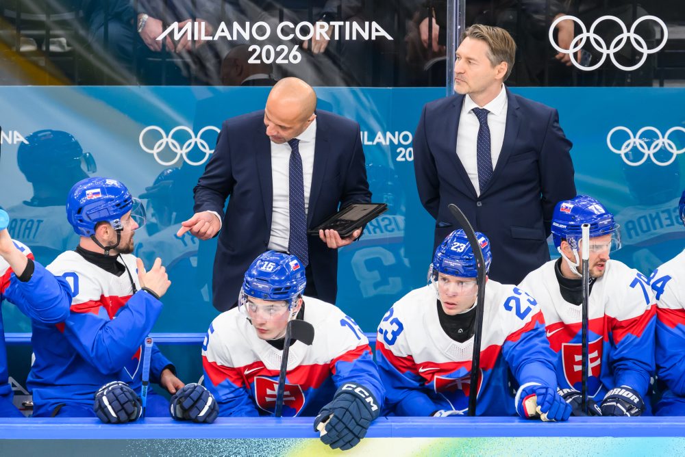 Zo zápasu Slovensko - Fínsko