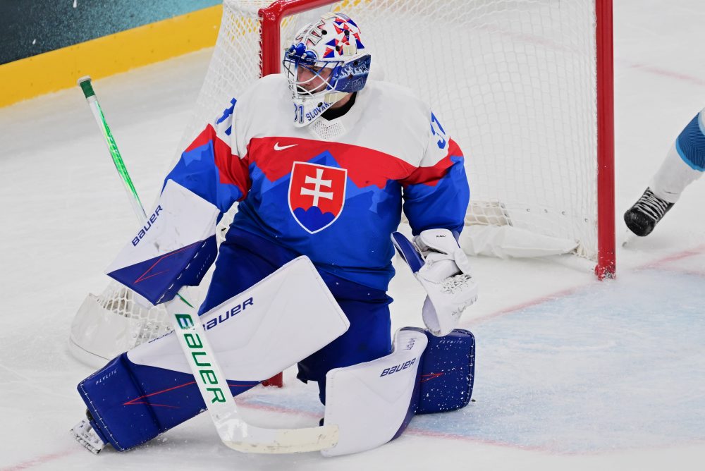 Zo zápasu Slovensko - Fínsko