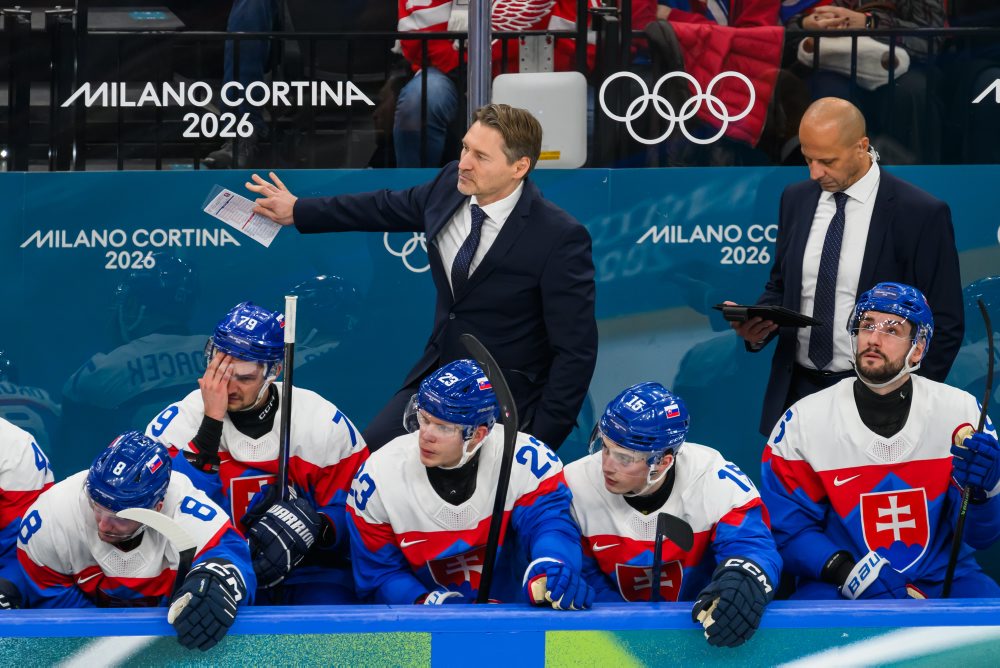 Zo zápasu Slovensko - Fínsko