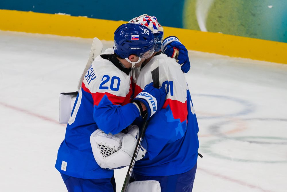 Zo zápasu Slovensko - Fínsko